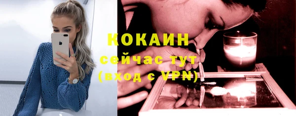стафф Богородицк