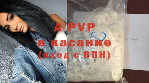 стафф Богородицк