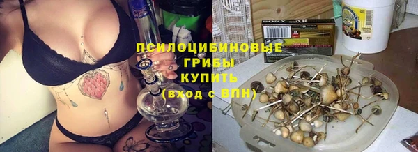 стафф Богородицк