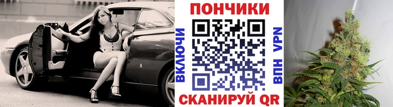 hydra tor  Прокопьевск  Марихуана сатива 